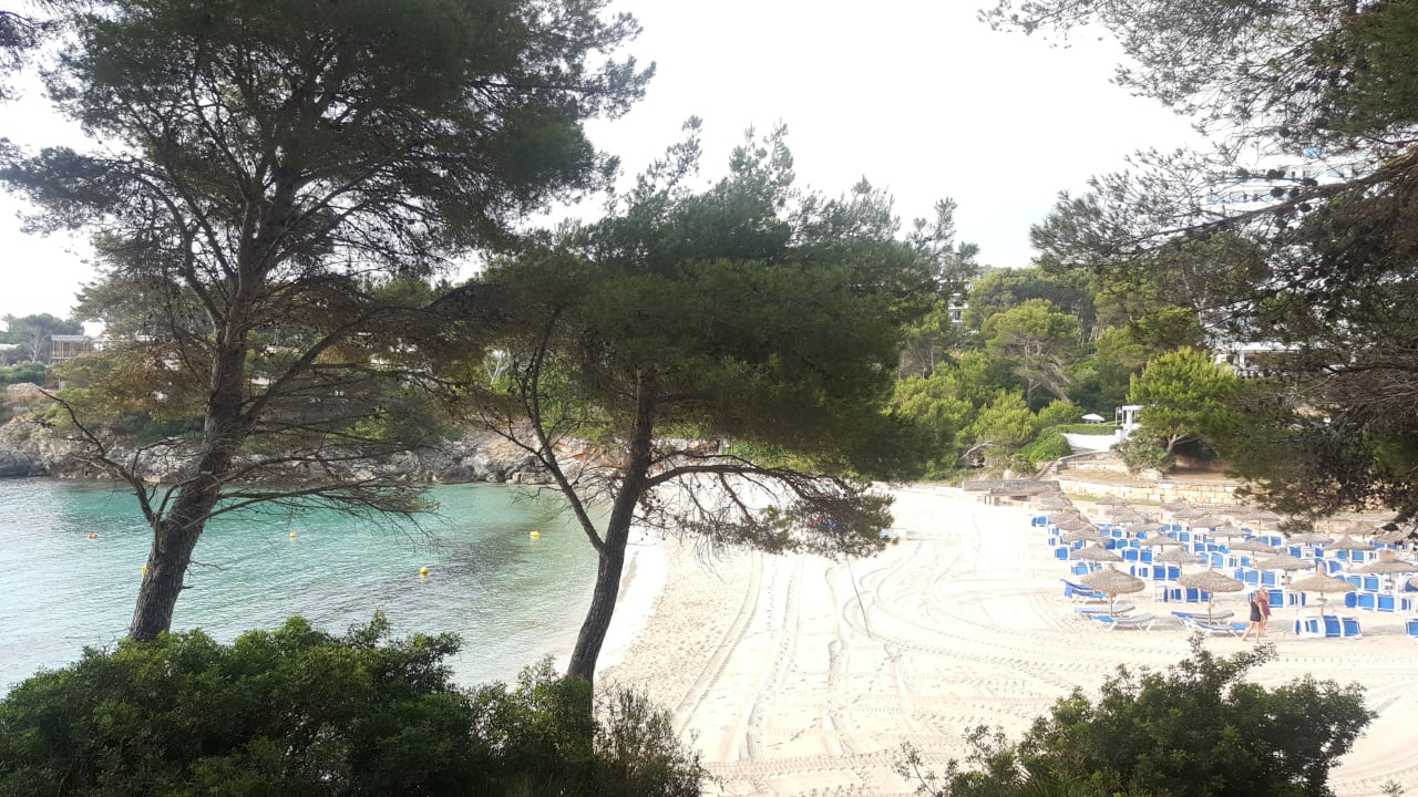 Öffentlicher Bereich. Am Sonntag mega voll.  Iberostar Waves Pinos Park