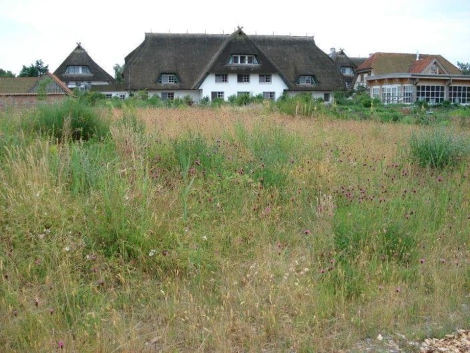 Haferland Rückseite Hotel Haferland