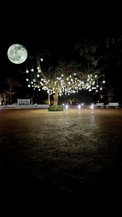 Gartenanlage Desert Rose