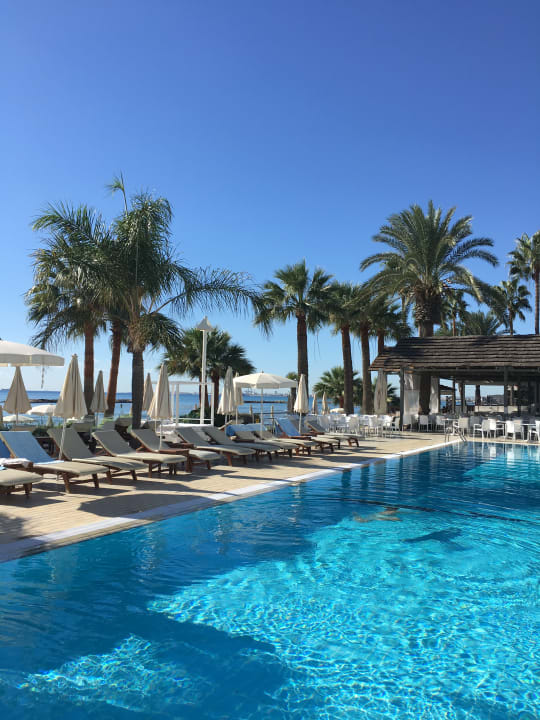 Pool Palm Beach Hotel & Bungalows
