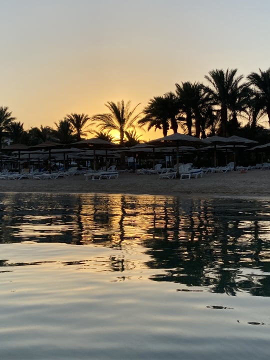 Strand Fort Arabesque Resort, Spa & Villas