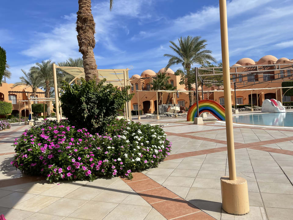 Pool Jaz Makadi Oasis Resort