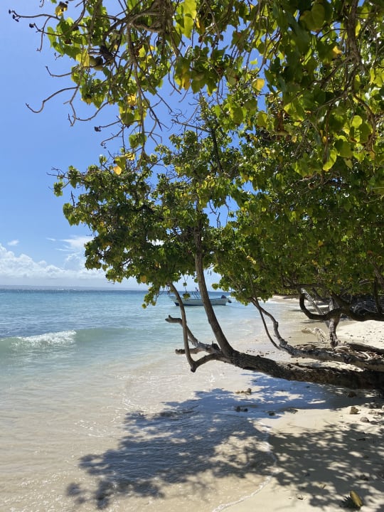 Strand Bahia Principe Grand El Portillo