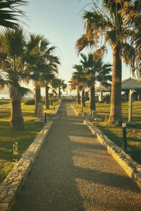 Gartenanlage Eliros Mare