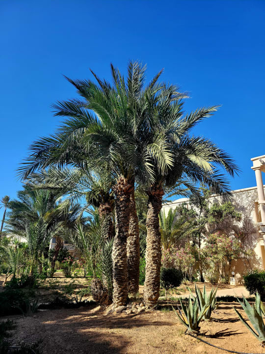 Außenansicht Zita Beach Resort