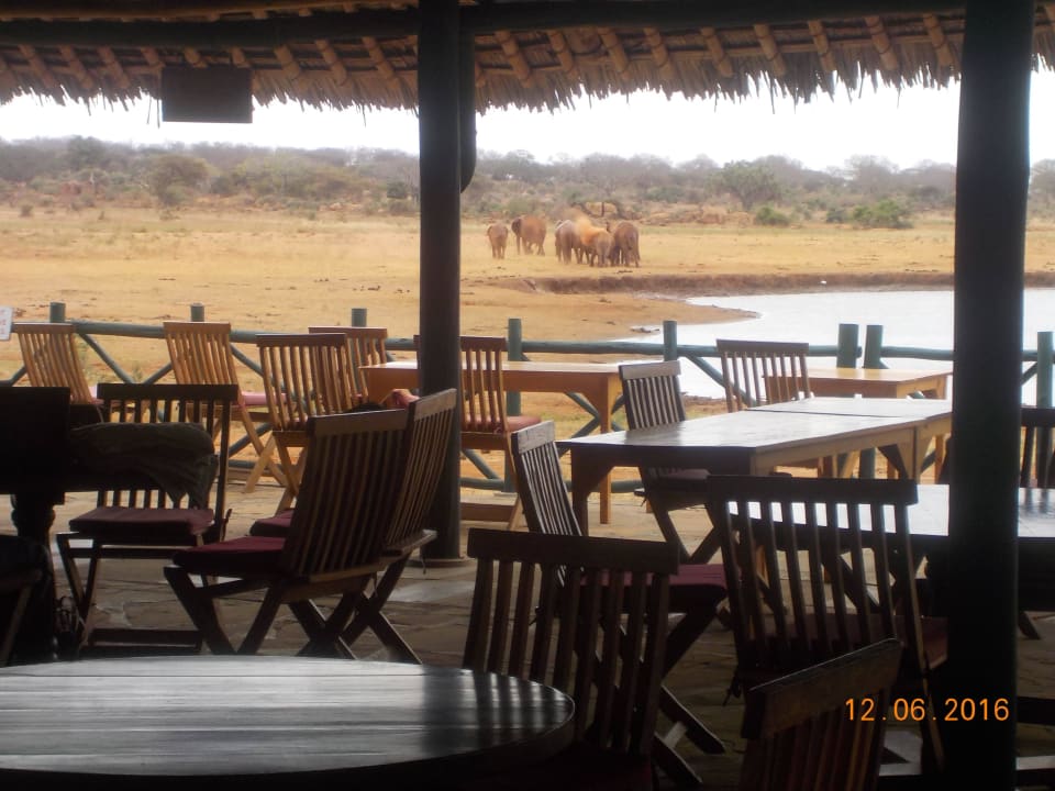 Elefanten am künstlichen Wasserloch Voi Wildlife Lodge