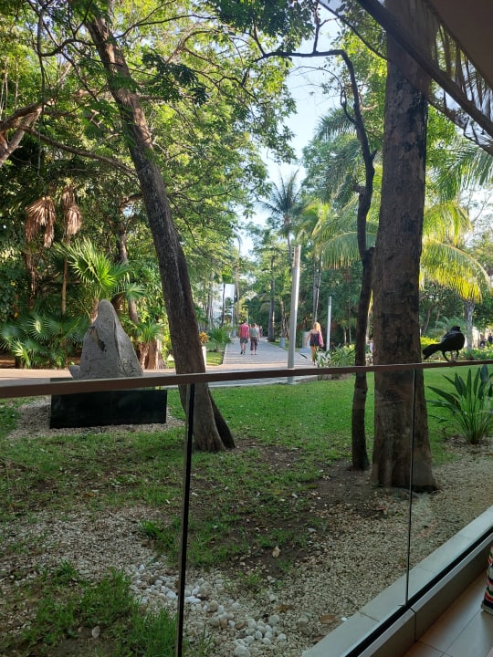 Ausblick Hotel Riu Tequila