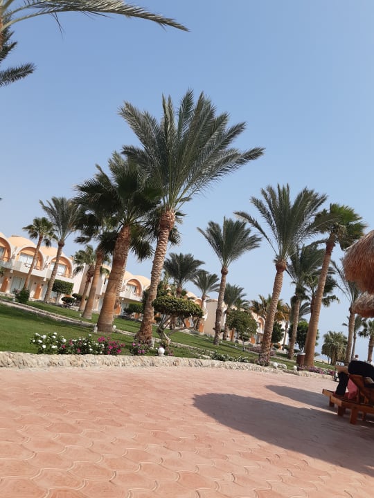 Sonstiges Three Corners Sea Beach Resort