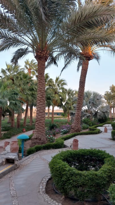 Gartenanlage Club Paradisio El Gouna, Red Sea