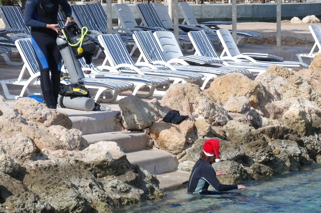 Tauchen am heiligen Abend Pickalbatros Citadel Resort