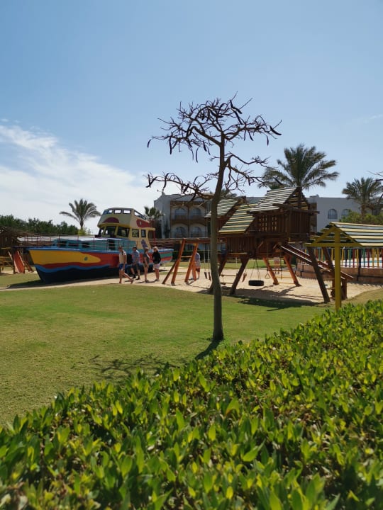 Sport & Freizeit Desert Rose