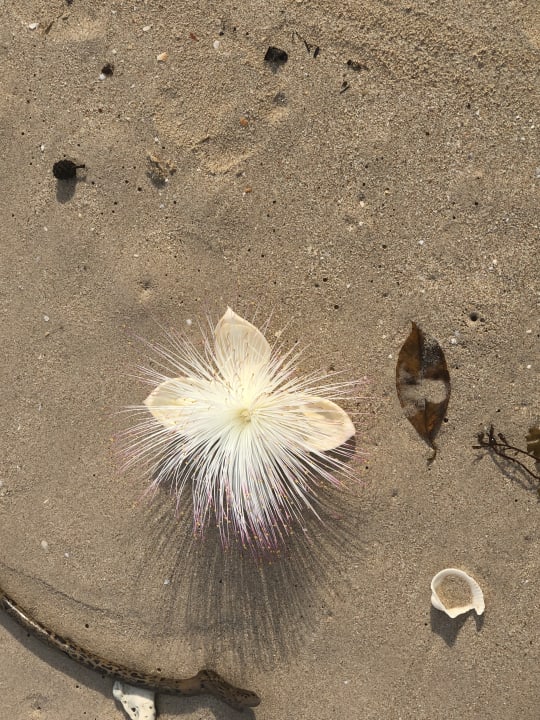 Strand Kantary Beach Hotel - KHAO LAK