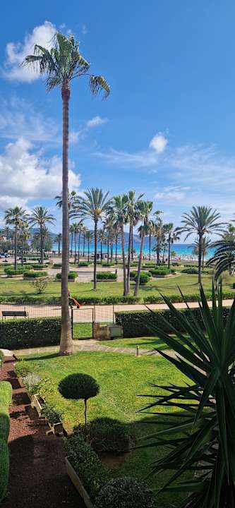 Ausblick Hipotels Mercedes