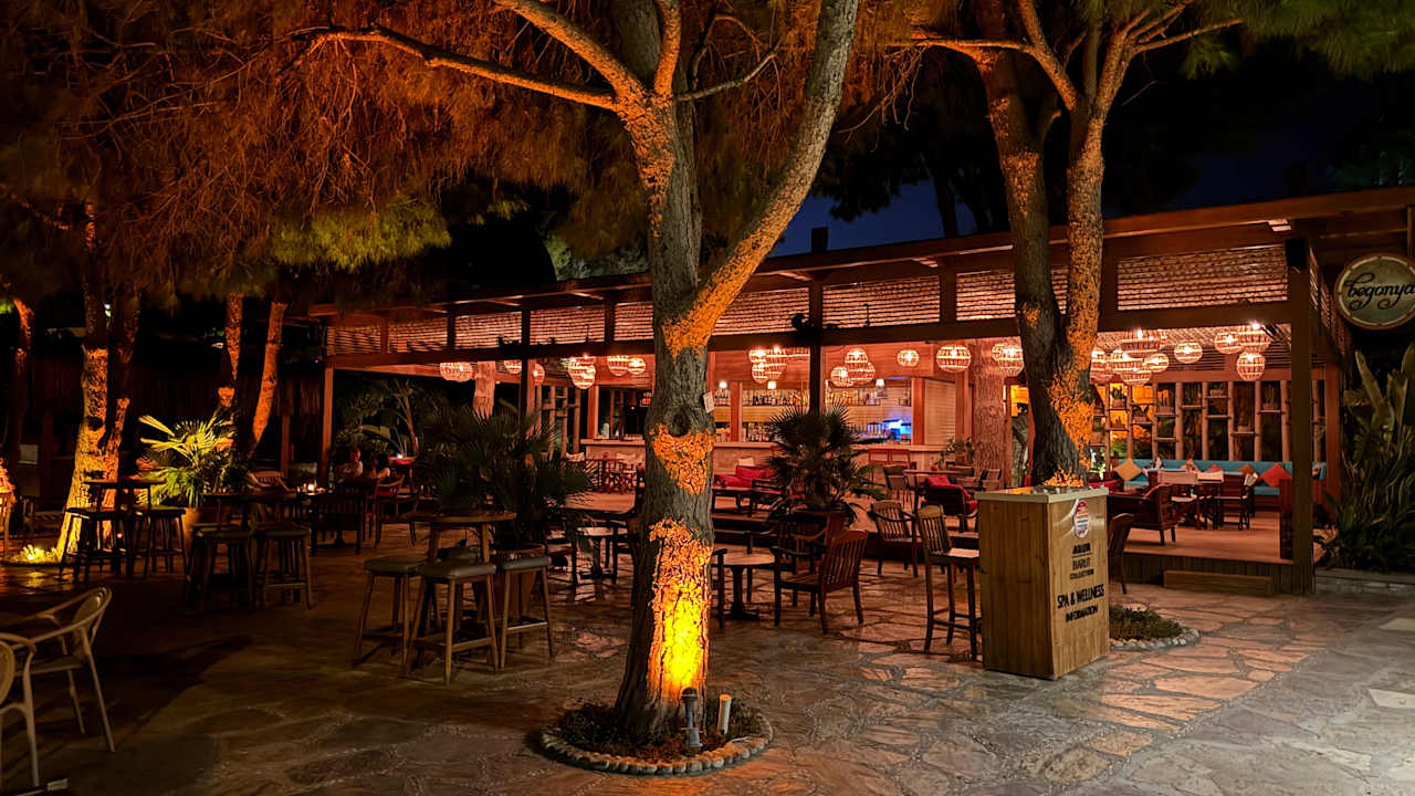 Sonstiges Arum Barut Collection