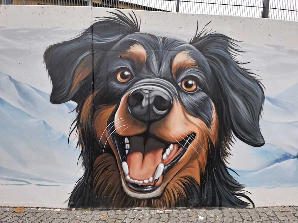 Außenansicht Aldiana Club Ampflwang