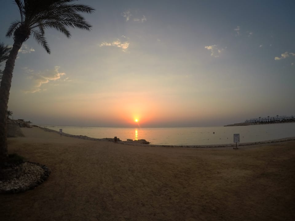 Ausblick Hotel Coral Garden