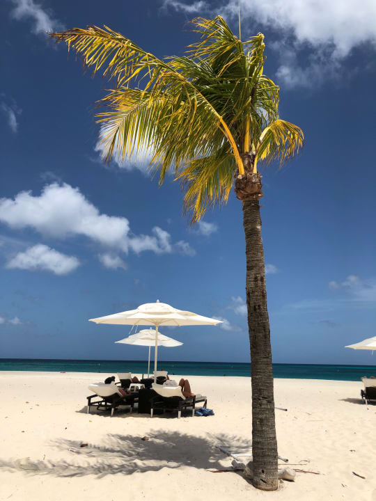 Strand Bucuti & Tara Beach Resort - Adults only