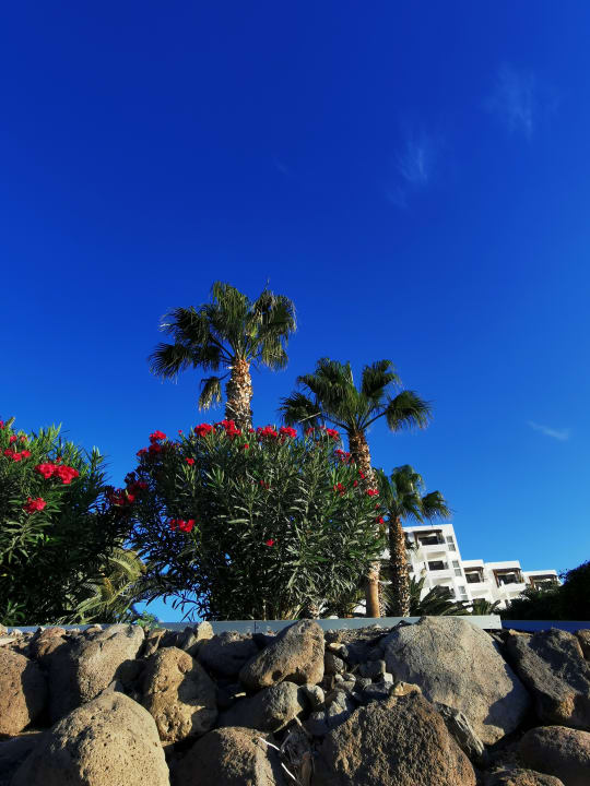 Sonstiges Marina Playa Suite Hotel