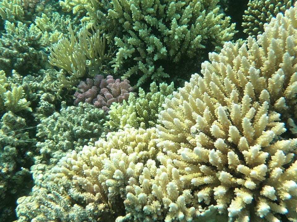 Sport & Freizeit Hotel Kempinski Soma Bay