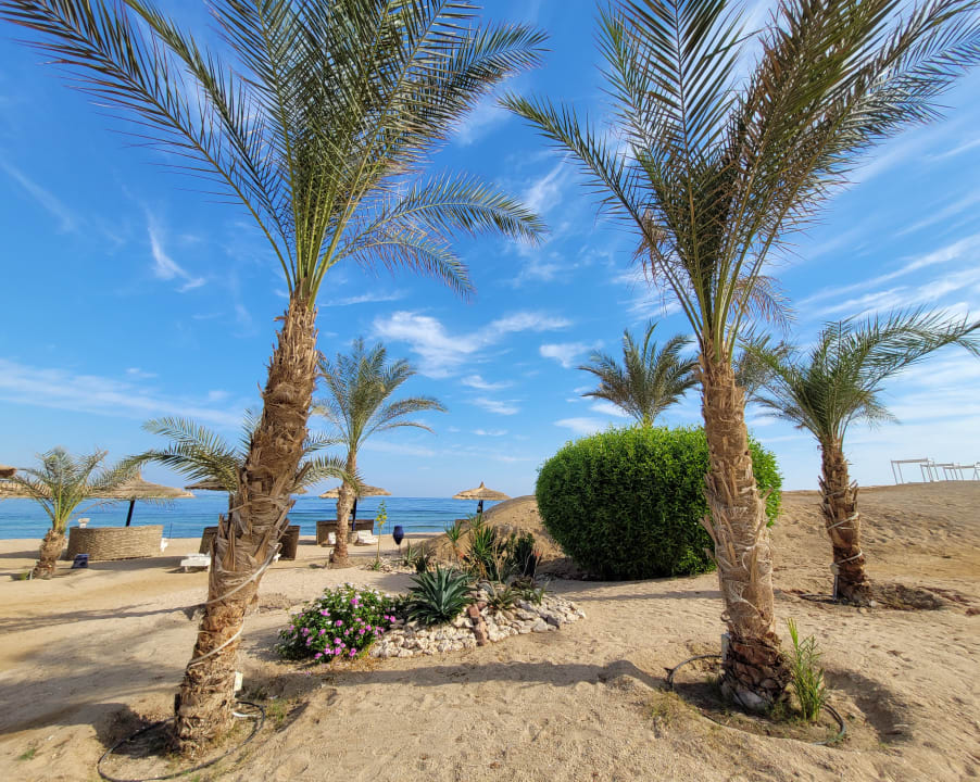 Strand Coral Sun Beach