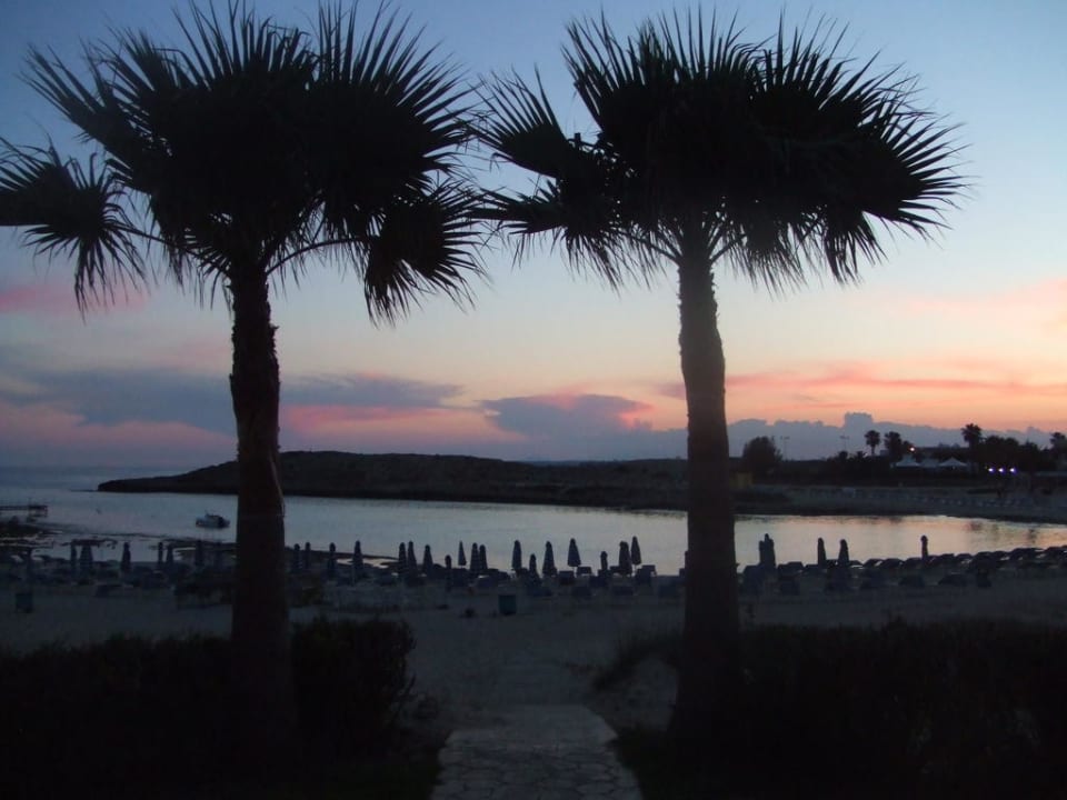 Sonnenuntergang Tasia Maris Gardens