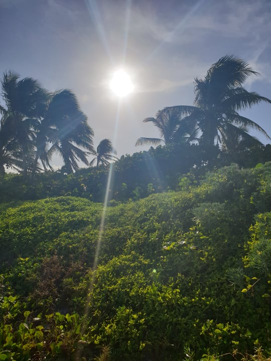 Gartenanlage Akumal Bay Beach & Wellness Resort