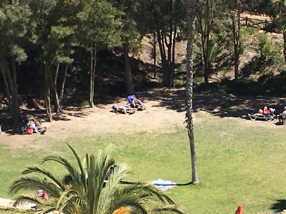 Gartenanlage Alfamar Beach & Sport Resort