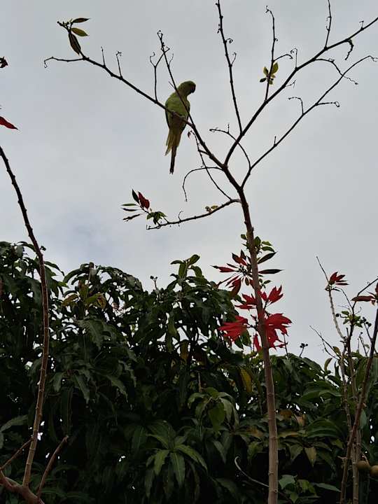 Ausblick Apartments Ambassador