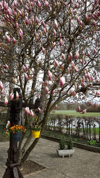 Gartenanlage Cafe Restaurant Rheinstrom