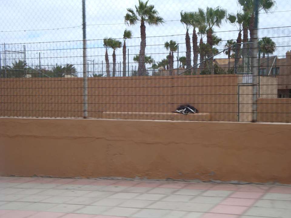 Tennisplatz Hotel Oasis Dunas