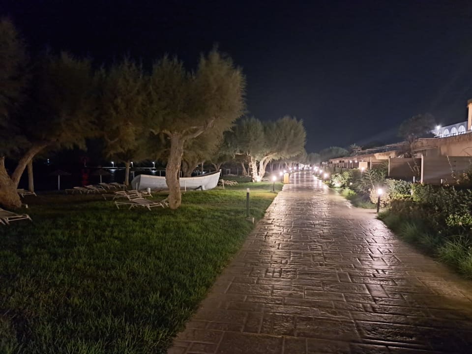 Gartenanlage TUI BLUE Oceanis Beach and Spa Resort