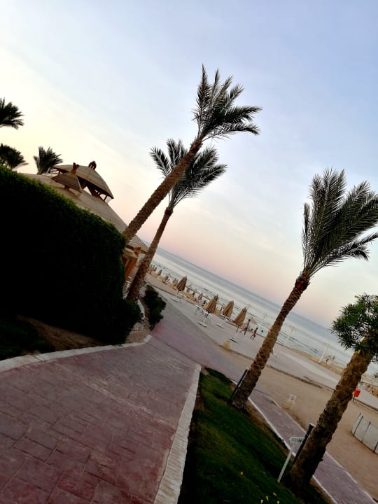 Strand Serenity Alpha Beach
