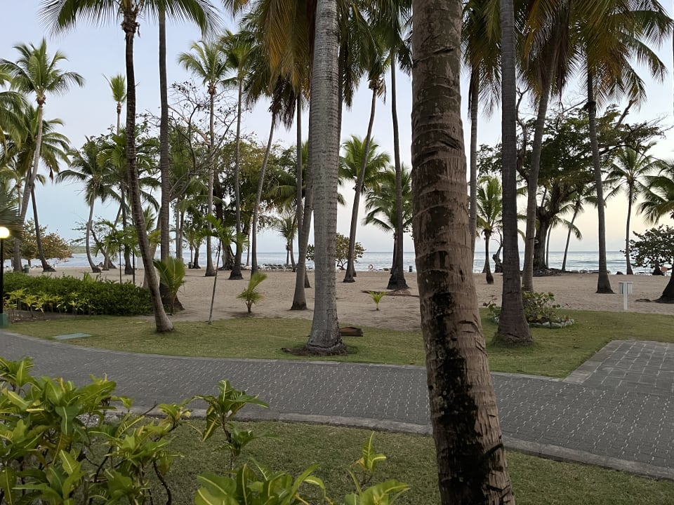 Ausblick Playabachata Hotel