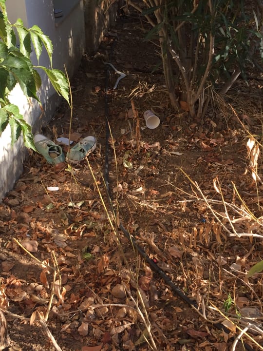 Gartenanlage Grecotel LUXME Kos