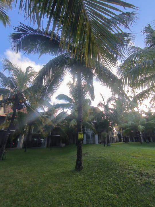 Gartenanlage Crystals Beach Resort Belle Mare, a member of Radisson Individuals