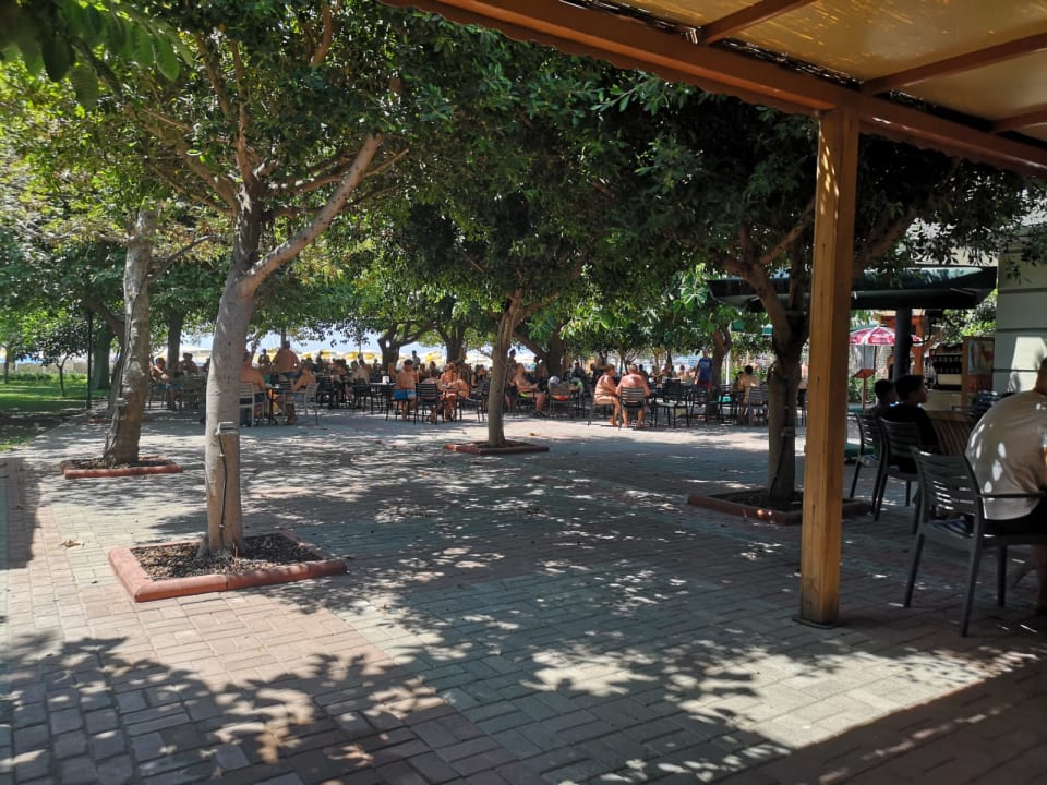 Strand Hotel Gardenia Beach