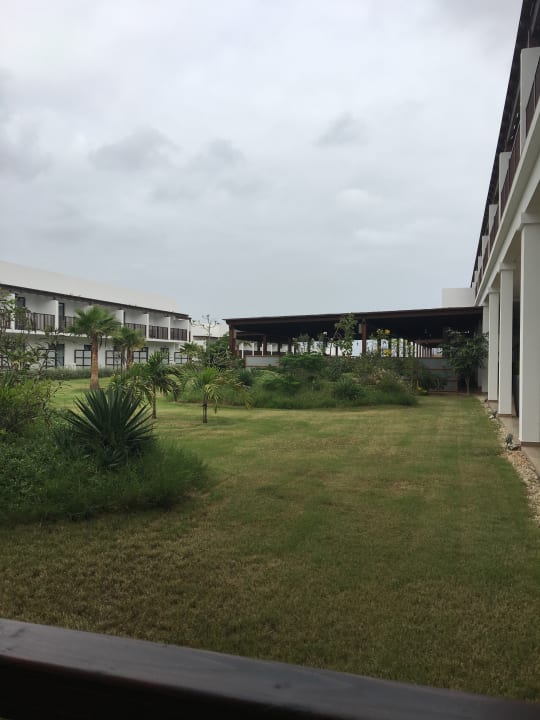 Gartenanlage Meliá Laguna Beach