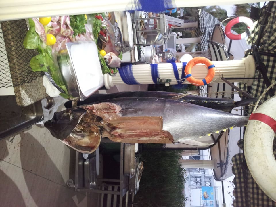 Ein ganzer Thunfisch am Fischabend Asteria Family Belek