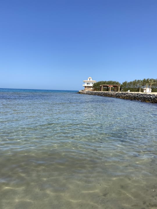 Ausblick Desert Rose