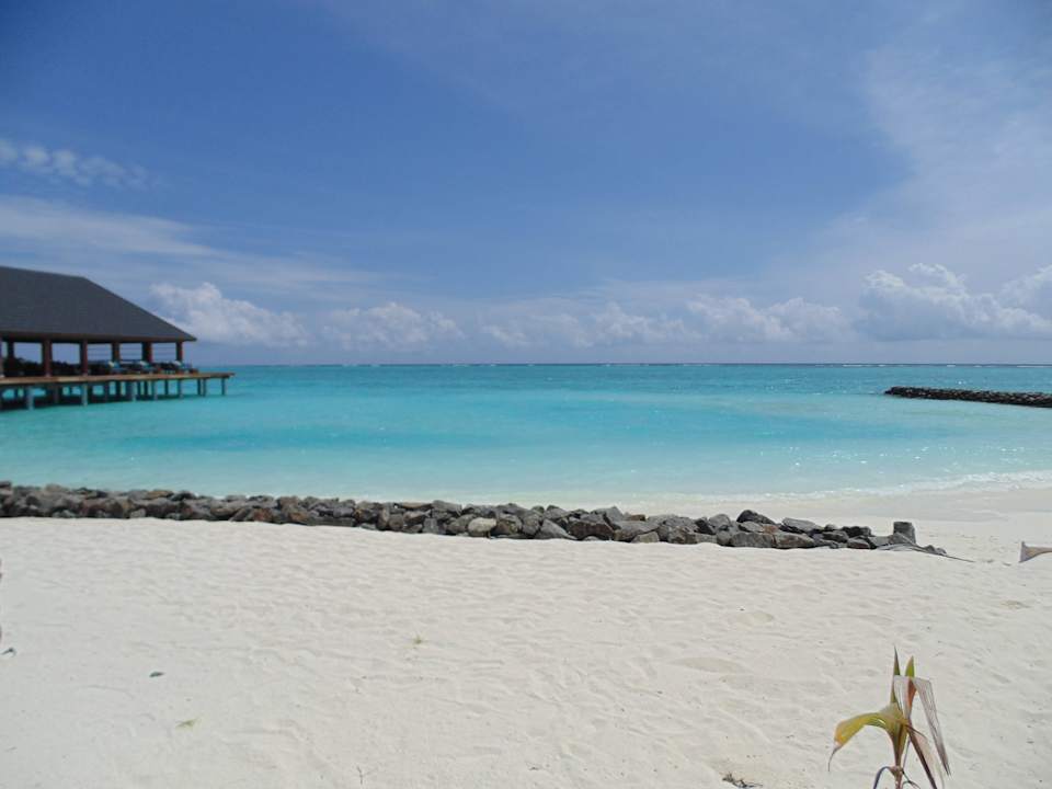 Strand Summer Island Maldives