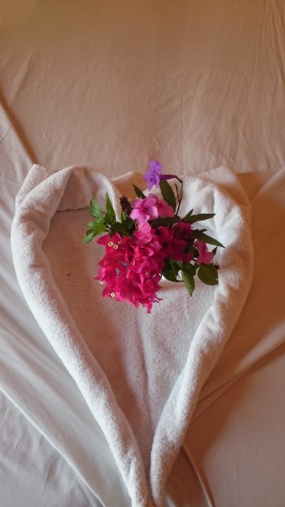 Roomboy Shams Alam Beach Resort