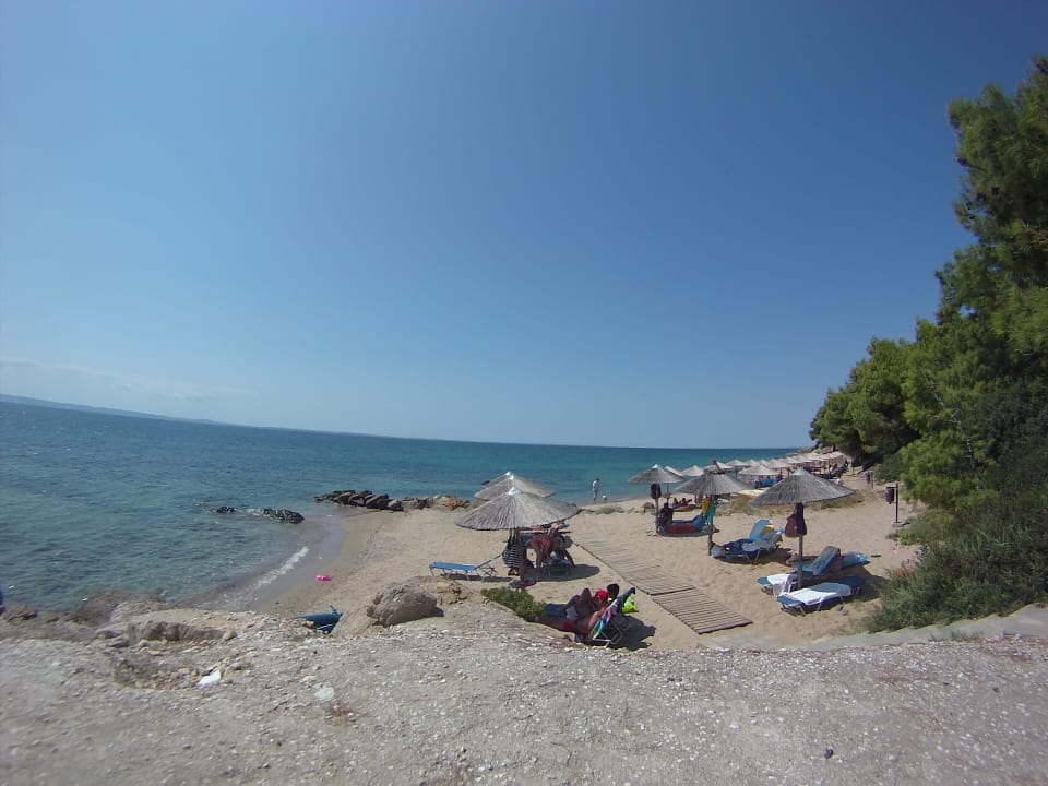 Hotelstrand von Strandbar fotografiert Blue Dolphin Resort Hotel