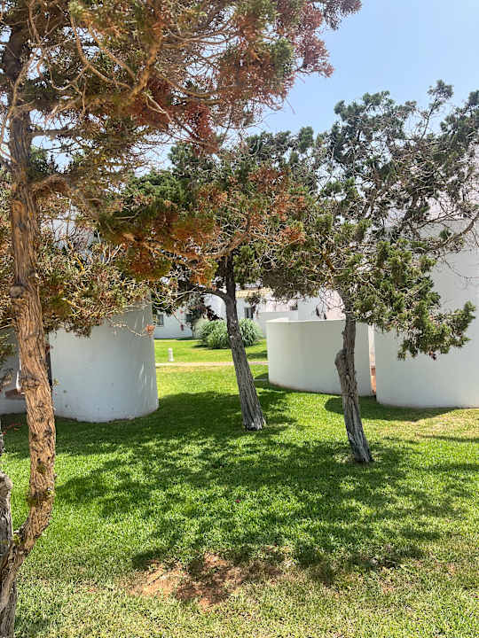 Gartenanlage Grupotel Aldea Cala'n Bosch
