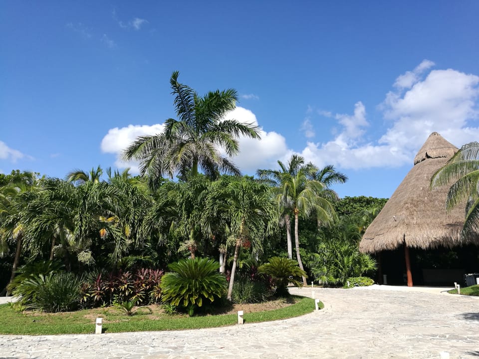 Gartenanlage Akumal Bay Beach & Wellness Resort