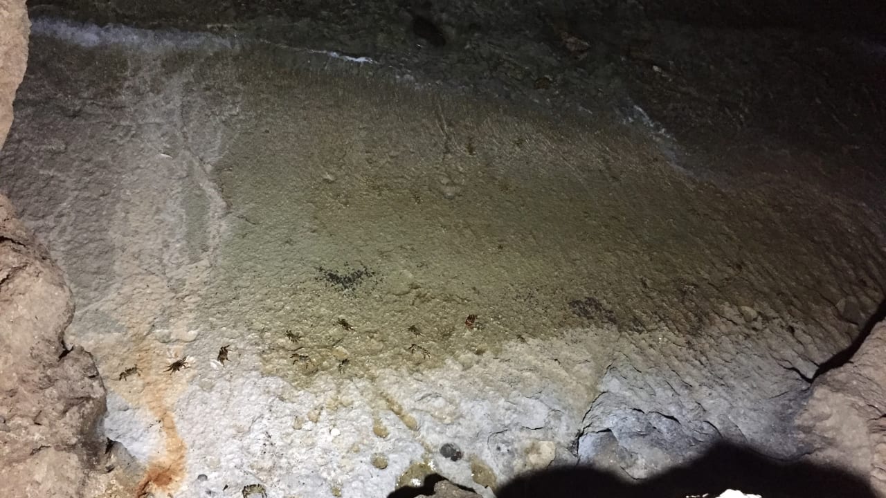 Strand Mövenpick Resort El Quseir