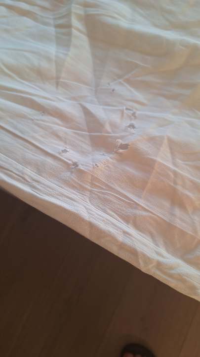 Zimmer Kirman Belazur Resort & Spa