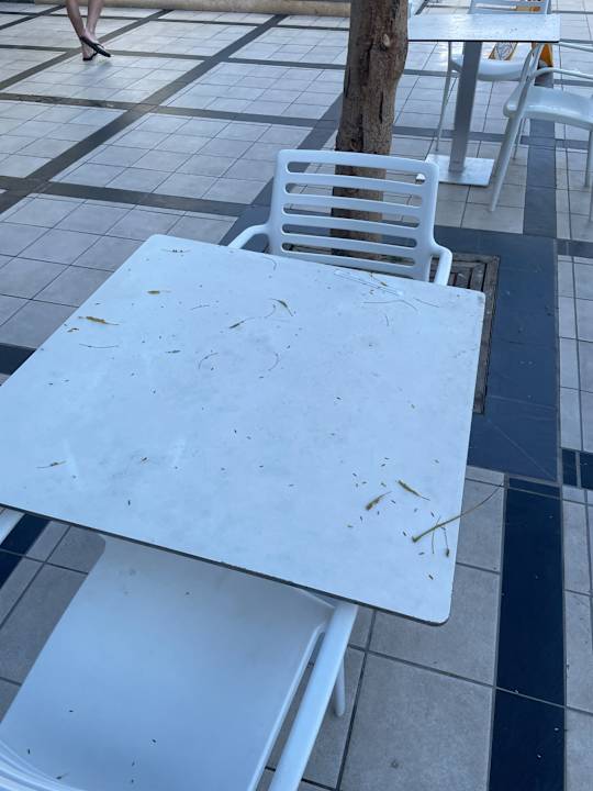 Gastro Alexandre Hotel Gala