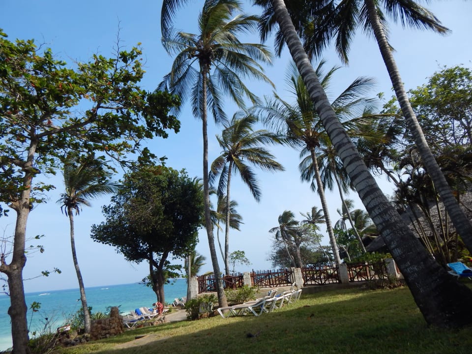 Baobab-Bereich Baobab Beach Resort & Spa