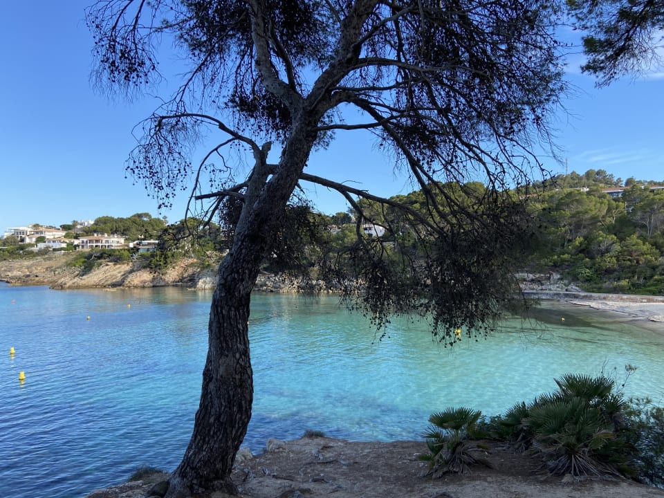 Strand Iberostar Waves Pinos Park