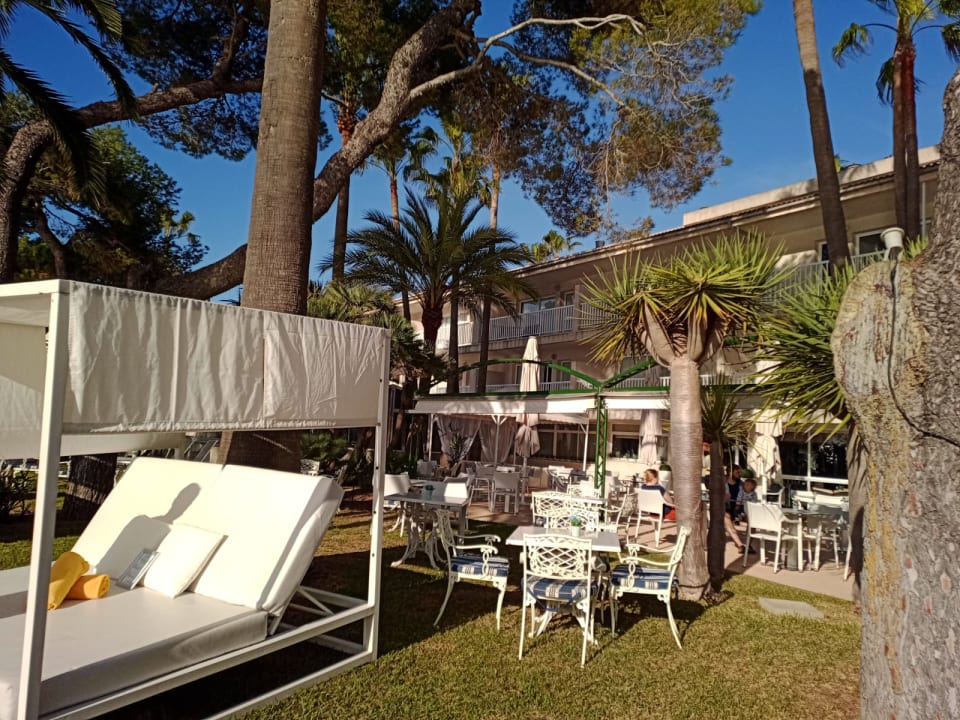 Gartenanlage allsun App.-Hotel Orquidea Playa